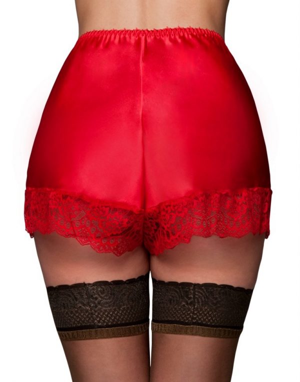 Underwear Knickers Nice Pretty Red Satin Rear Nylon Dreams CAMI2